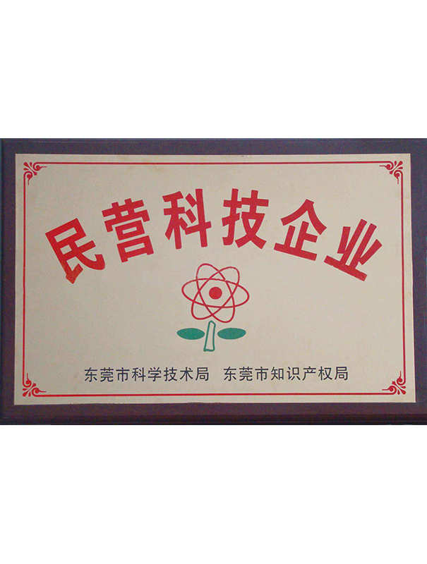  民营科技企业